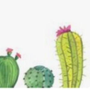 Meet your Posher, Sophie